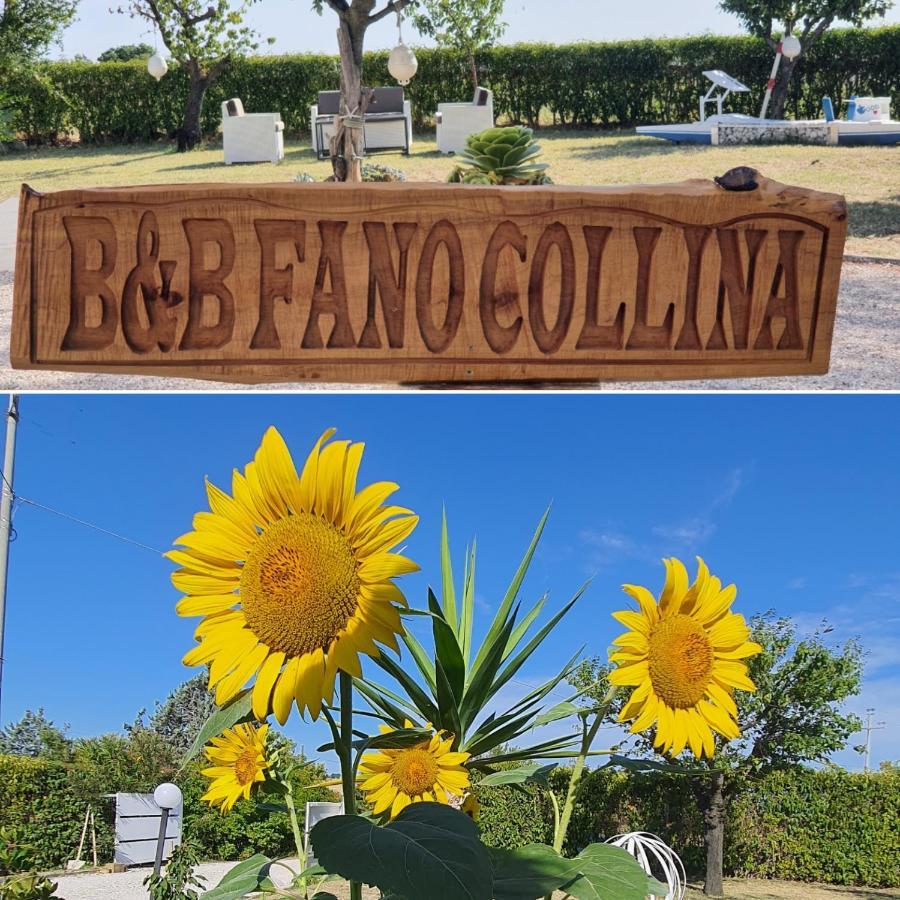 Bnb Fano Collina. La Pace Di Una Vacanza Piagge Exterior photo