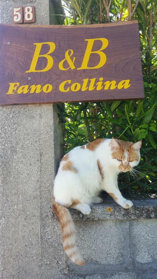 Bnb Fano Collina. La Pace Di Una Vacanza Piagge Exterior photo