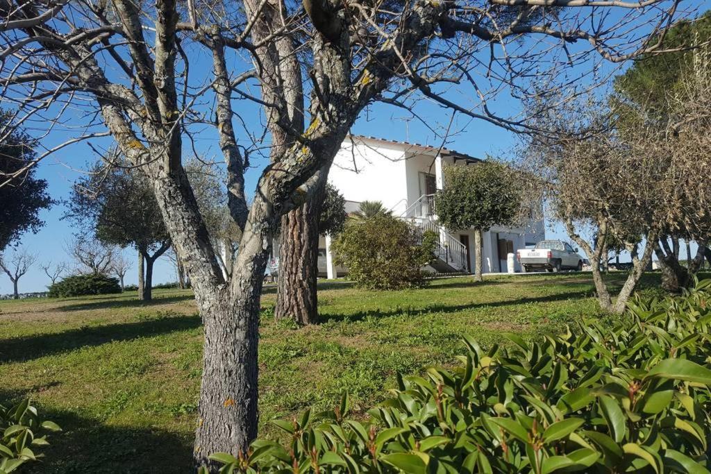 Bnb Fano Collina. La Pace Di Una Vacanza Piagge Exterior photo